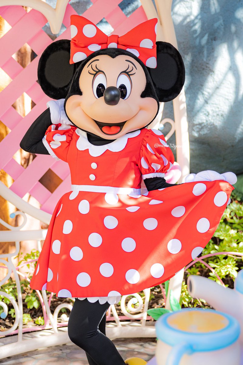 よん (@_meow32yeon) / Posts / X