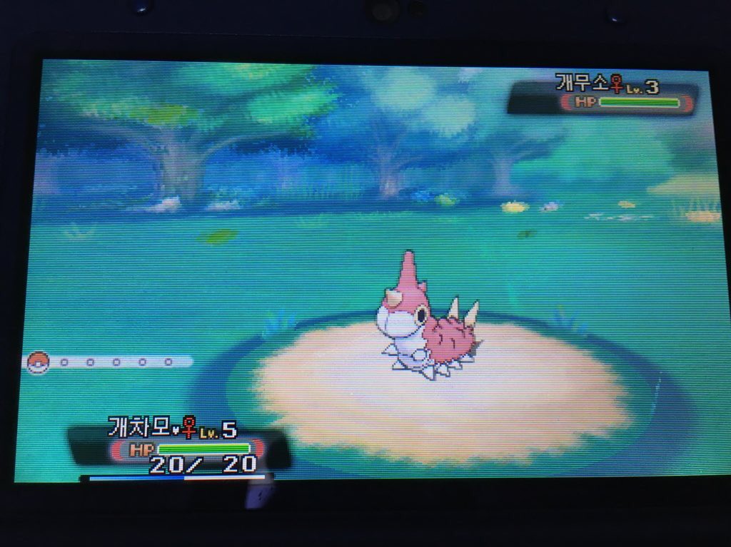 개므소 tweet media