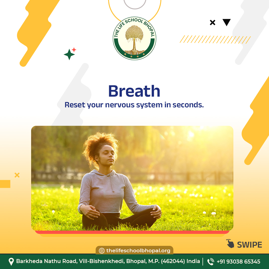 tlsbhopal's tweet image. Transformation is a toolkit — awareness, breath, reflection, boundaries, patience, consistency. 

#TLSNavigators #TransformationTools #TLSNavigators #EmotionalClarity #InnerStrength #SelfAwareness #MindfulLiving #PersonalGrowth #EmotionalWellbeing #MentalResilience