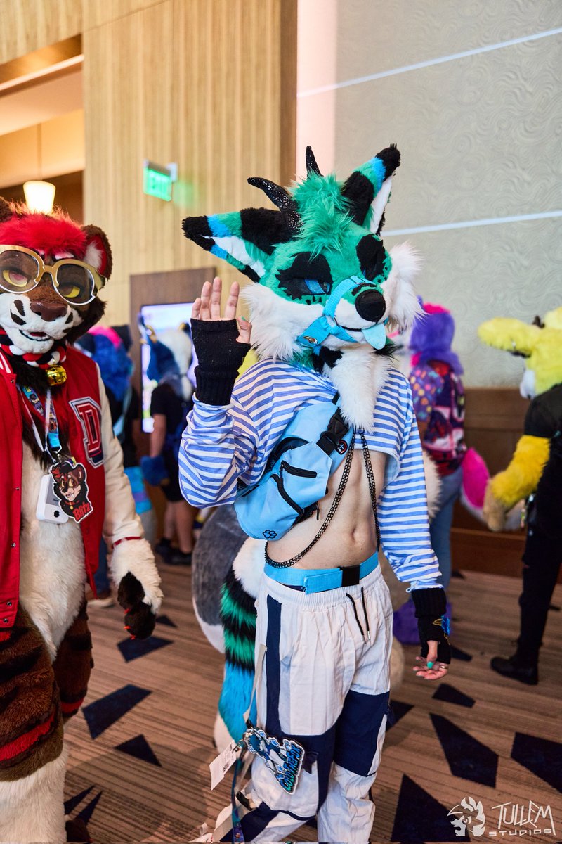 ColdTheFox's tweet image. What you looking at uh ? 👀

📸:@tullembrat