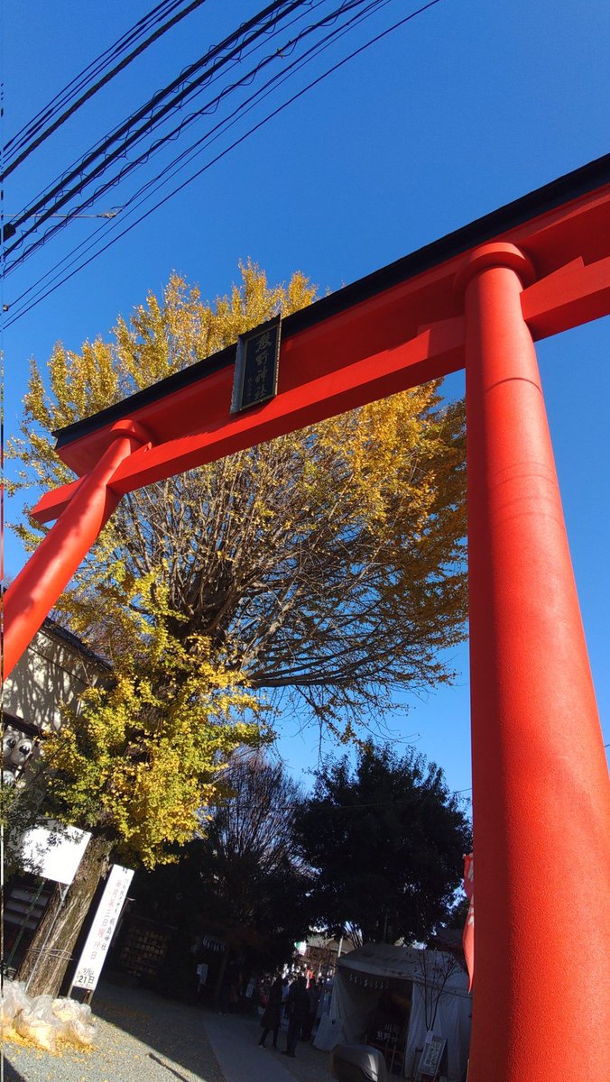 ダイスケ (@daisuke_sun) / Posts / X