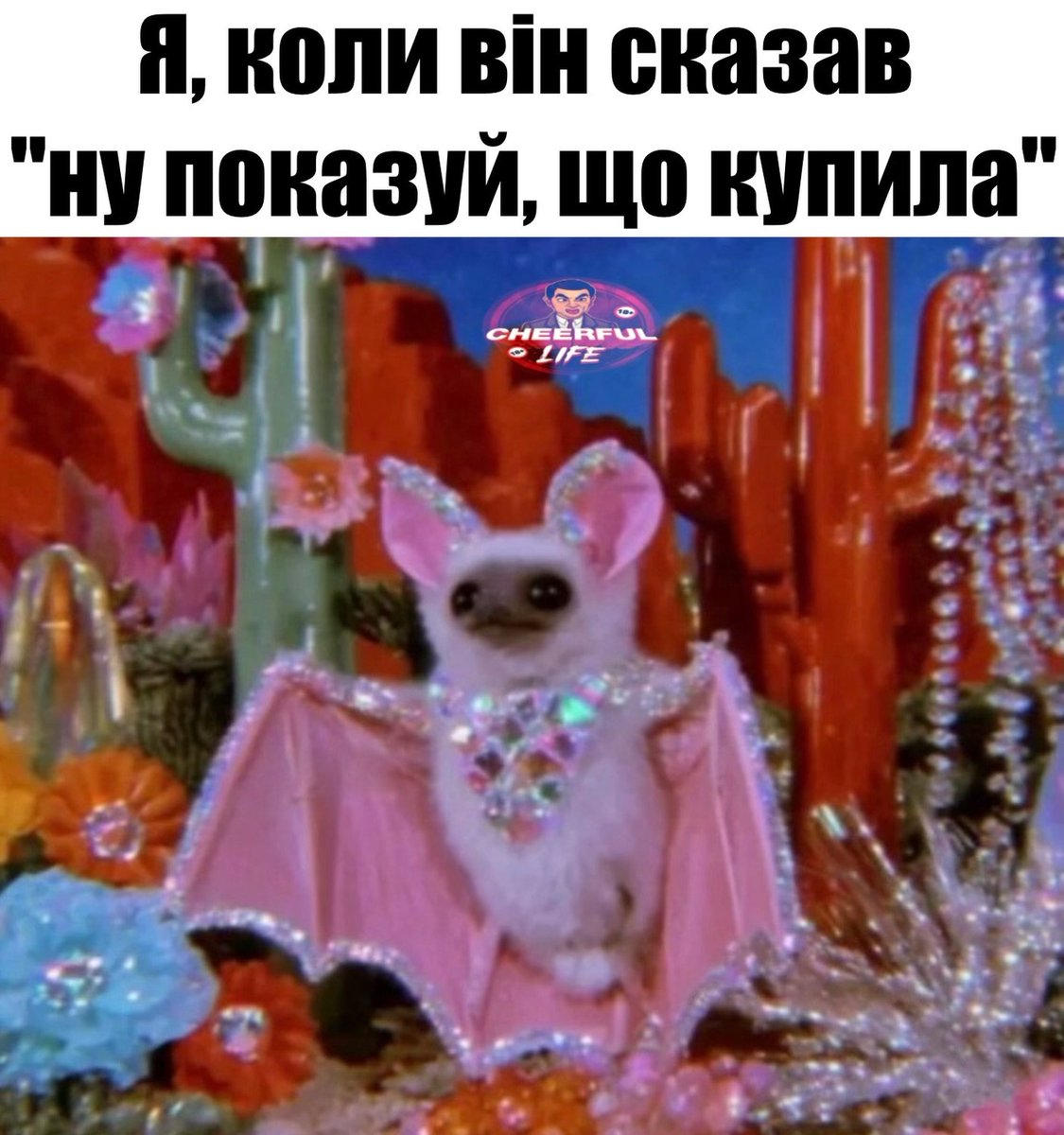 Баба і кіт tweet media