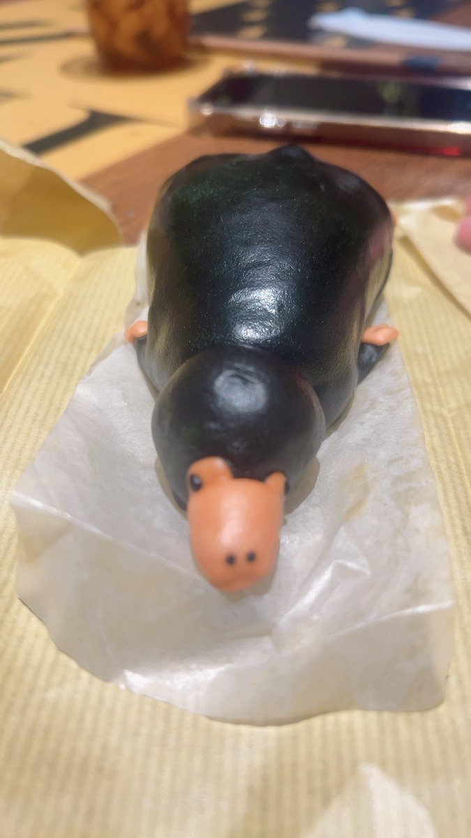 おくま🦋🐾🔥 (@okuma1121) / Posts / X