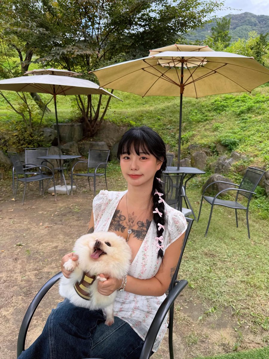 🇰🇷 Bighip베이글 tweet media