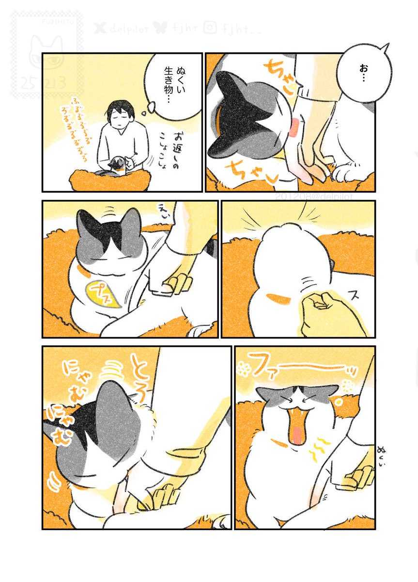 delpilot's tweet image. あたたかい猫(3/3)