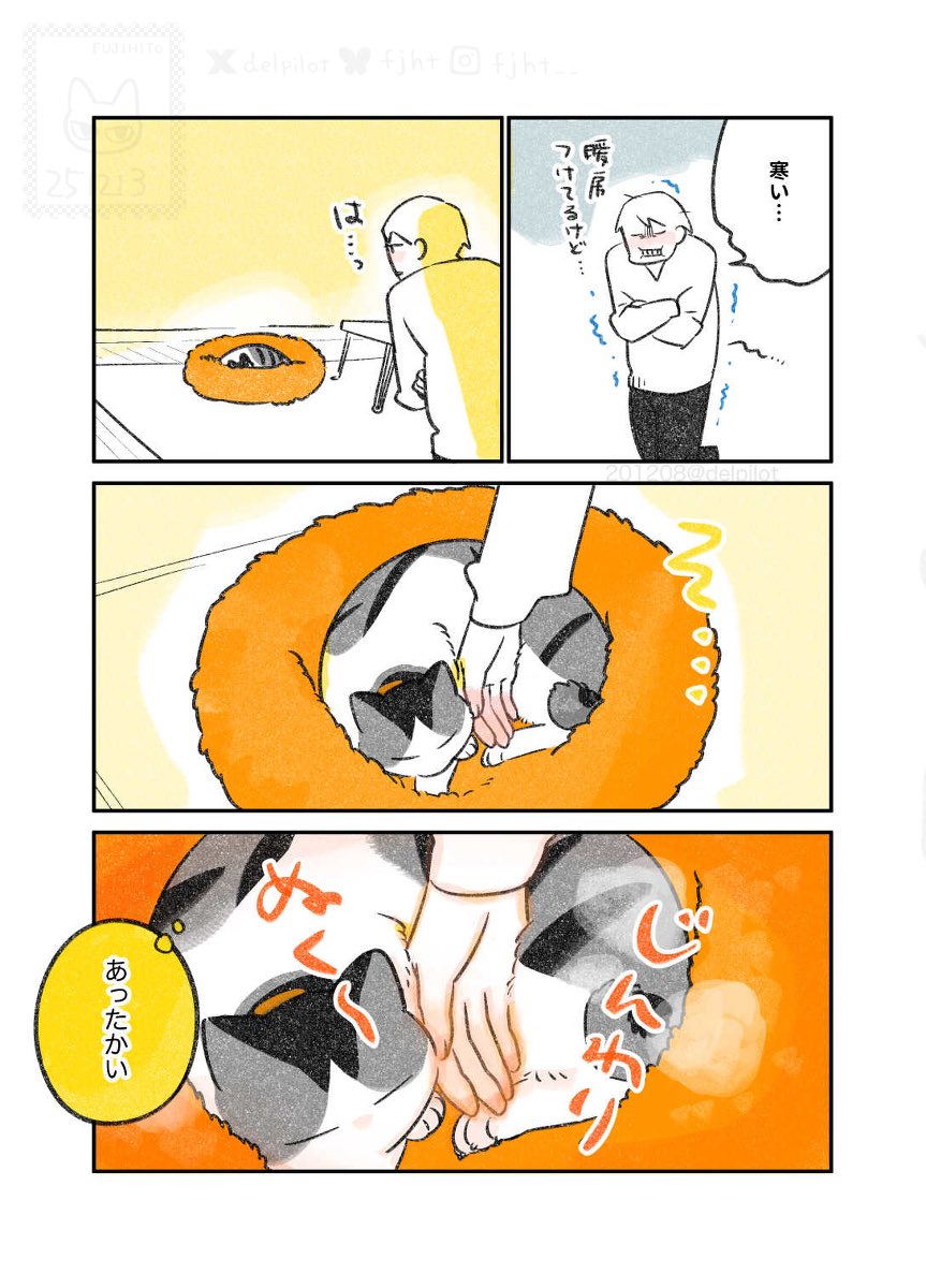 delpilot's tweet image. あたたかい猫(3/3)