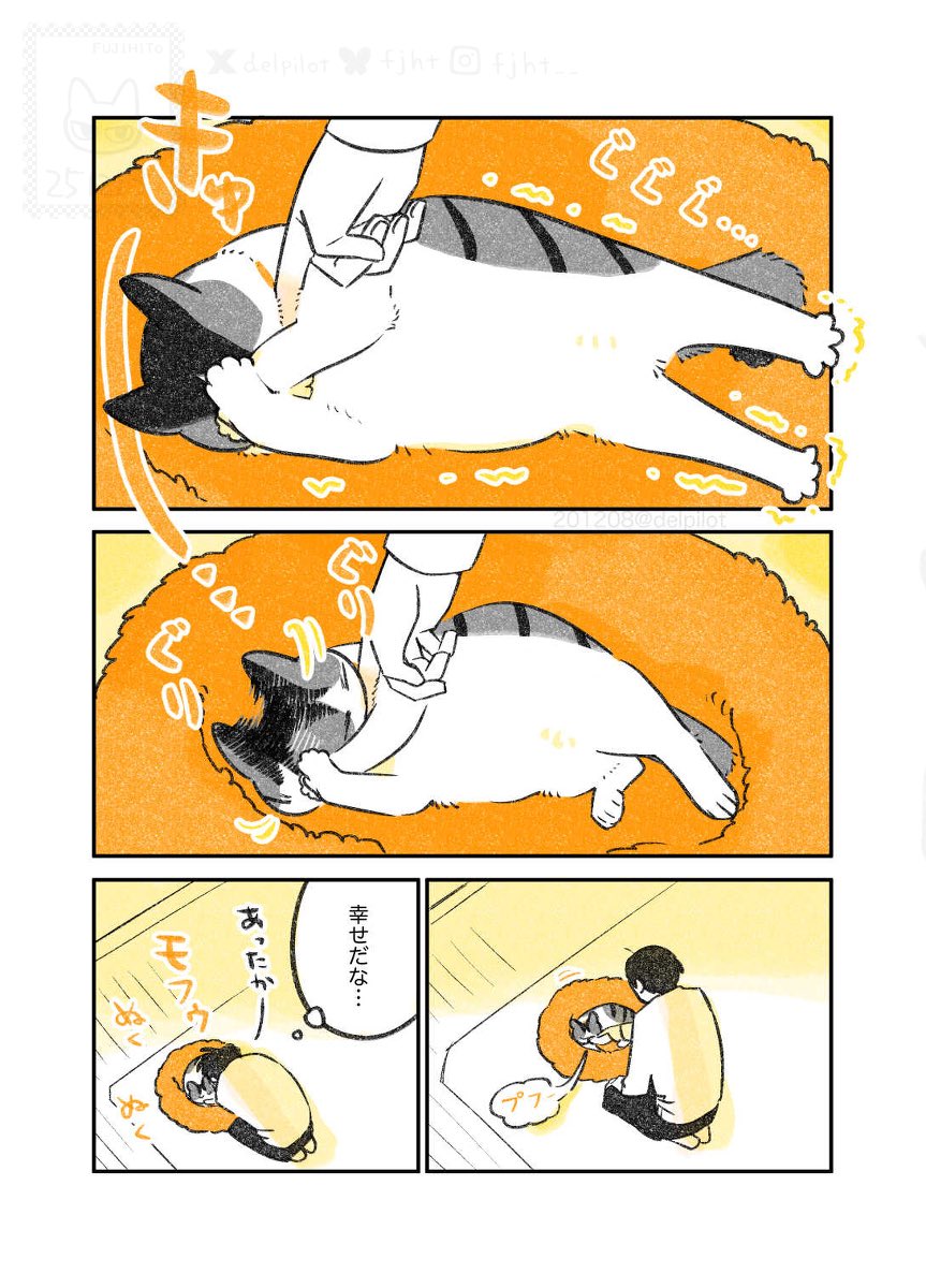 delpilot's tweet image. あたたかい猫(3/3)