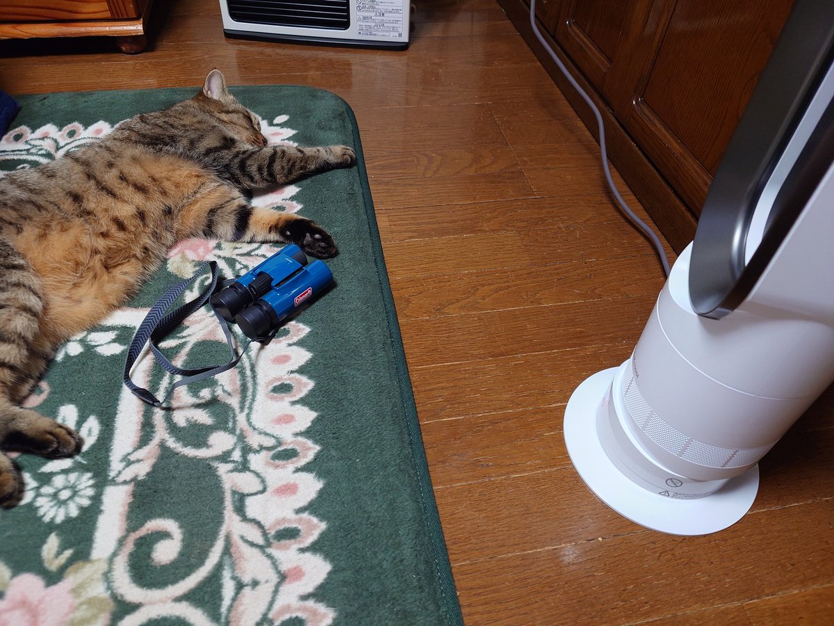 にゃん太ぁ (@nyannta_00) / Posts / X