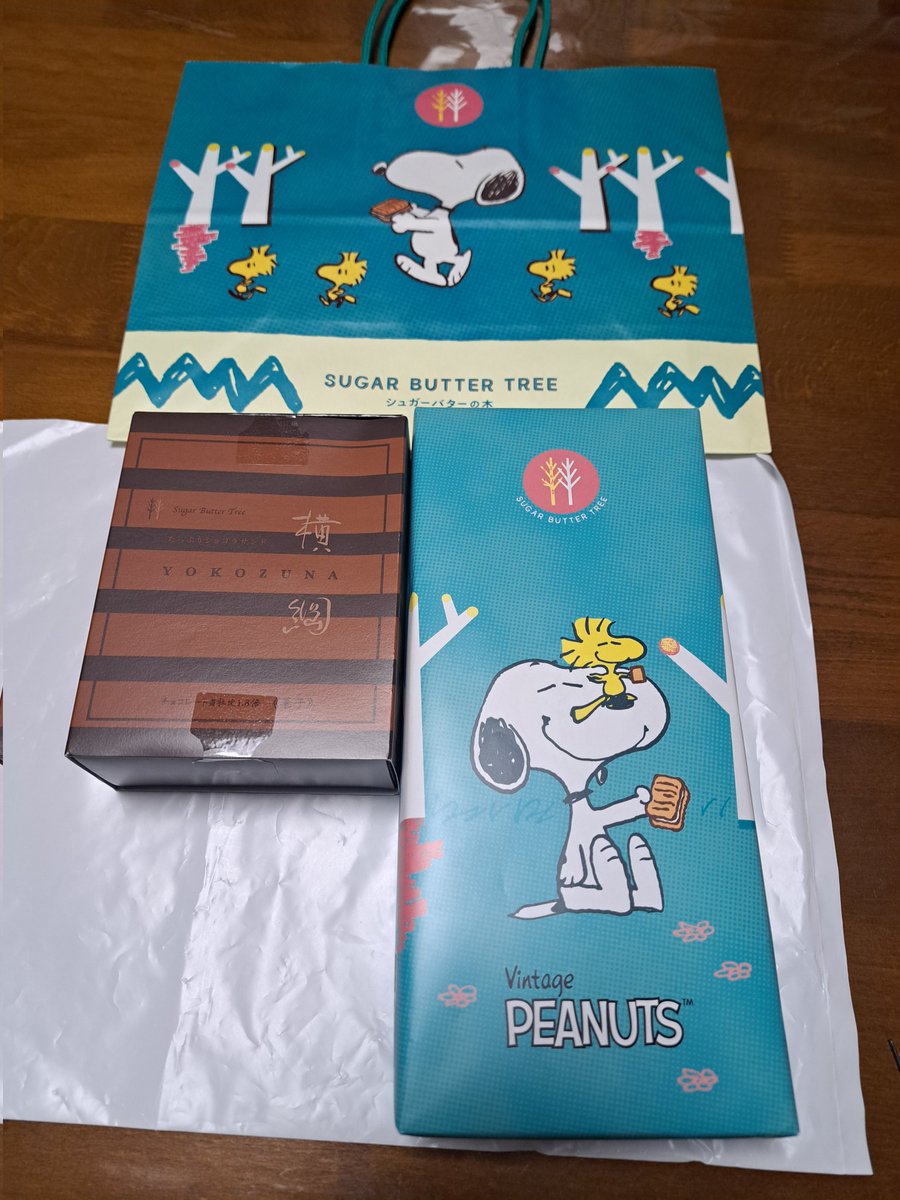 ちびねこ117🐱 (@tibineko3117) / Posts / X