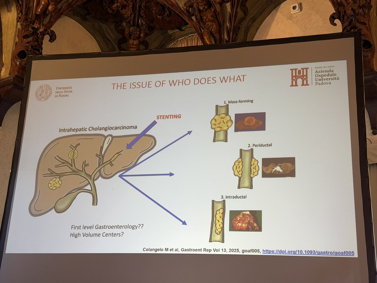 LorenzaRimassa's tweet photo. Meeting of the European #CCA advocacy groups in Venice #APIC @CharityAMMF @atuvibi #EspoirVoiesBiliares
#cholangiocarcarcinoma #BTC @PrecisionBTCnet @CcaEns @curecc @HUNIMED @HumanitasMilano https://t.co/qkaU5Cdny5