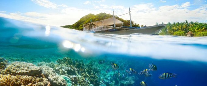 بالصور .. أفضل وجهات الغوص في #الفلبين 