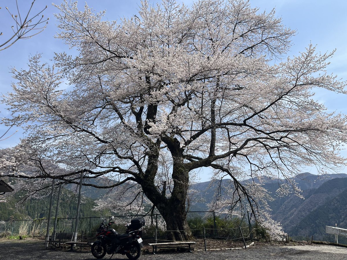 バイクで春夏秋冬25
