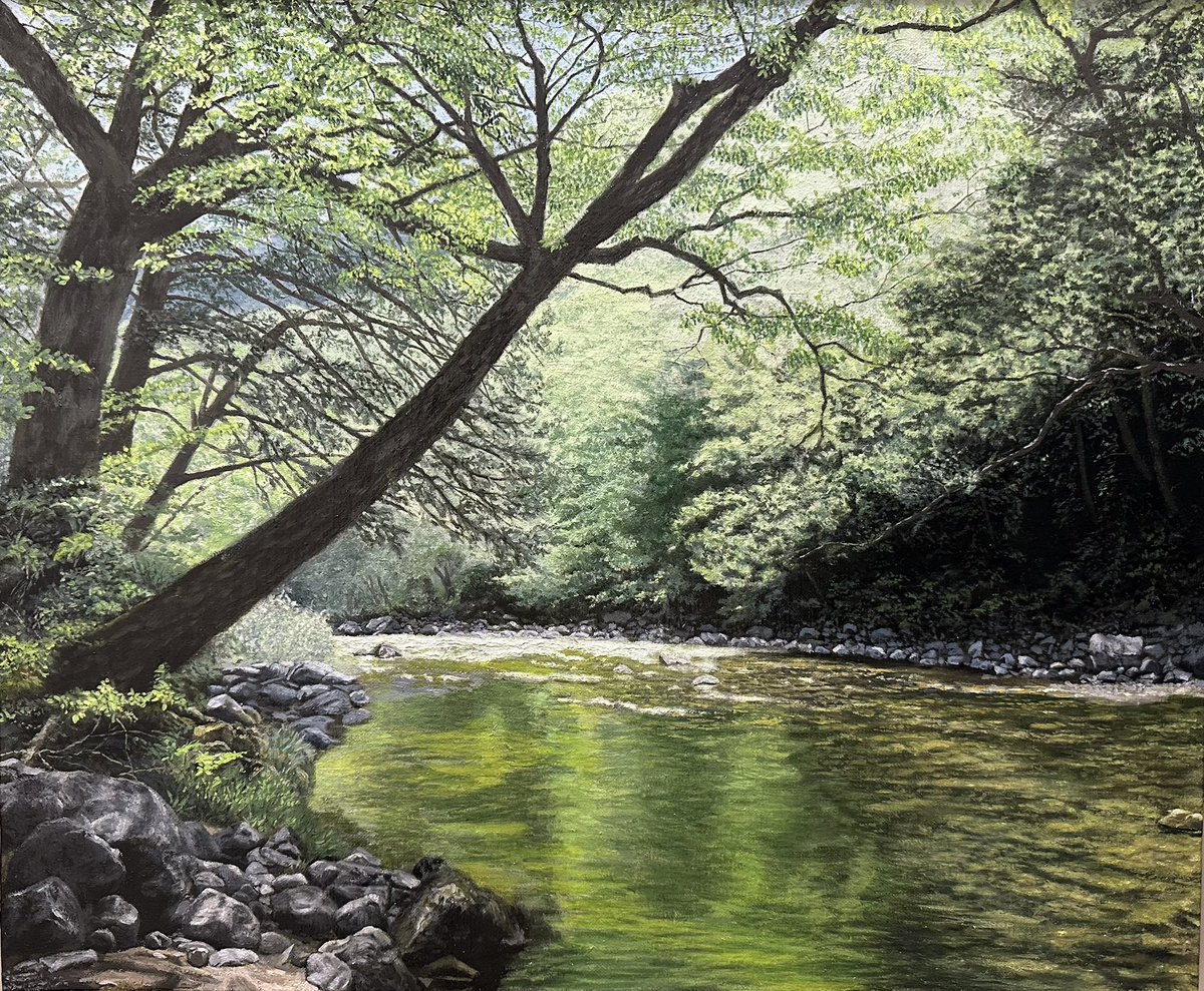 これでいったん加筆は終わりにします🖌️
広島県の三段峡で出会った風景です。
#油彩 #oilpainting