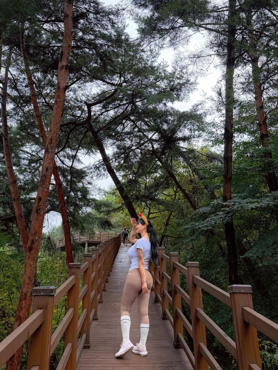 🇰🇷 Bighip베이글 tweet media