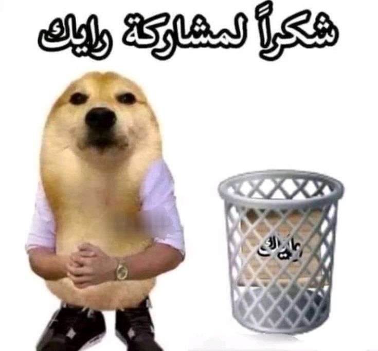 madra_00's tweet photo. @farag_nassar_ رأيك يهمنا طبعا يفنان https://t.co/HNjqDMhhI5