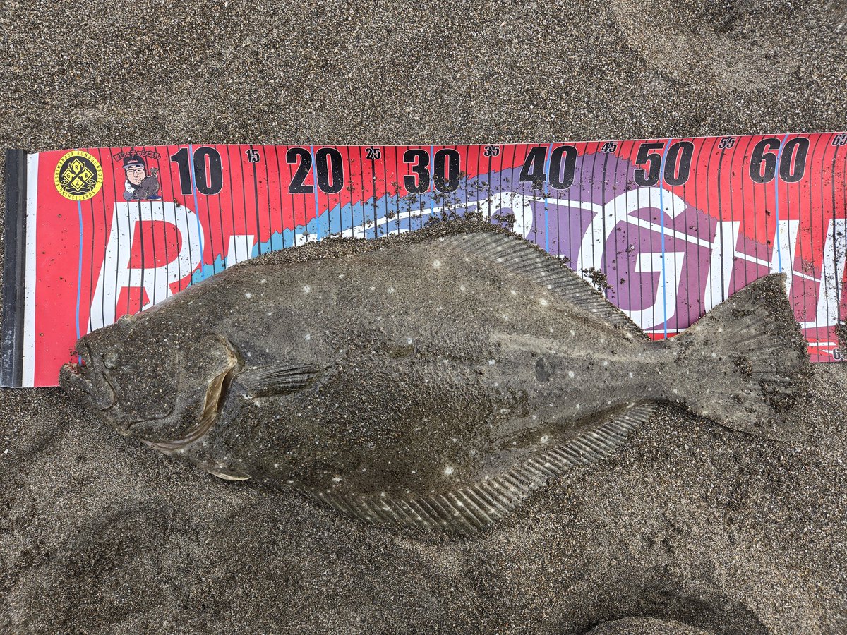 munezou (@MUNEZOU19XX) / Posts and Replies / X