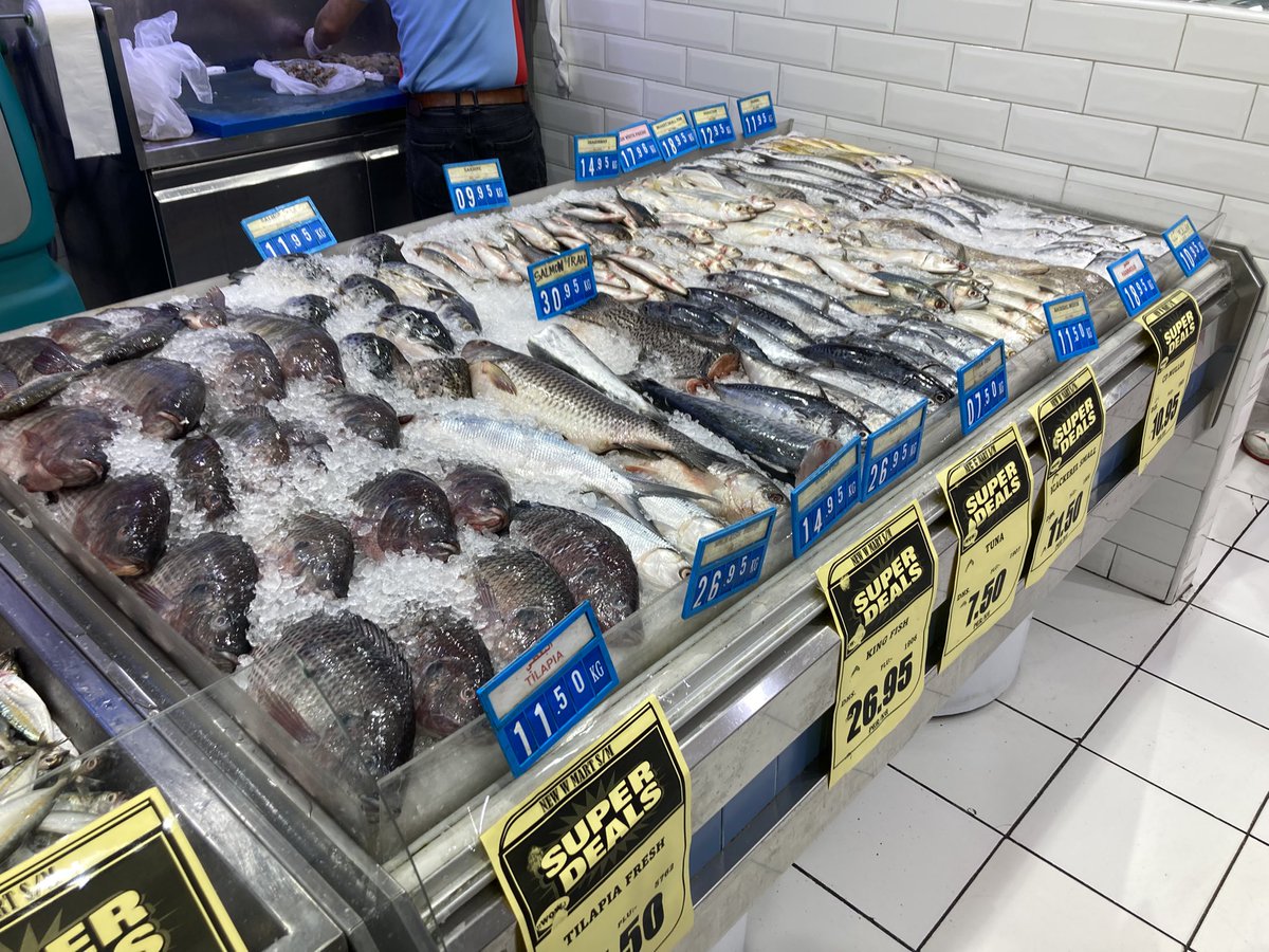 gomashio_fish's tweet photo. ドバイのスーパーで見かけた魚達。
スーパー巡りはローカル感満載で楽しい😊 https://t.co/VuM1ubm1tM