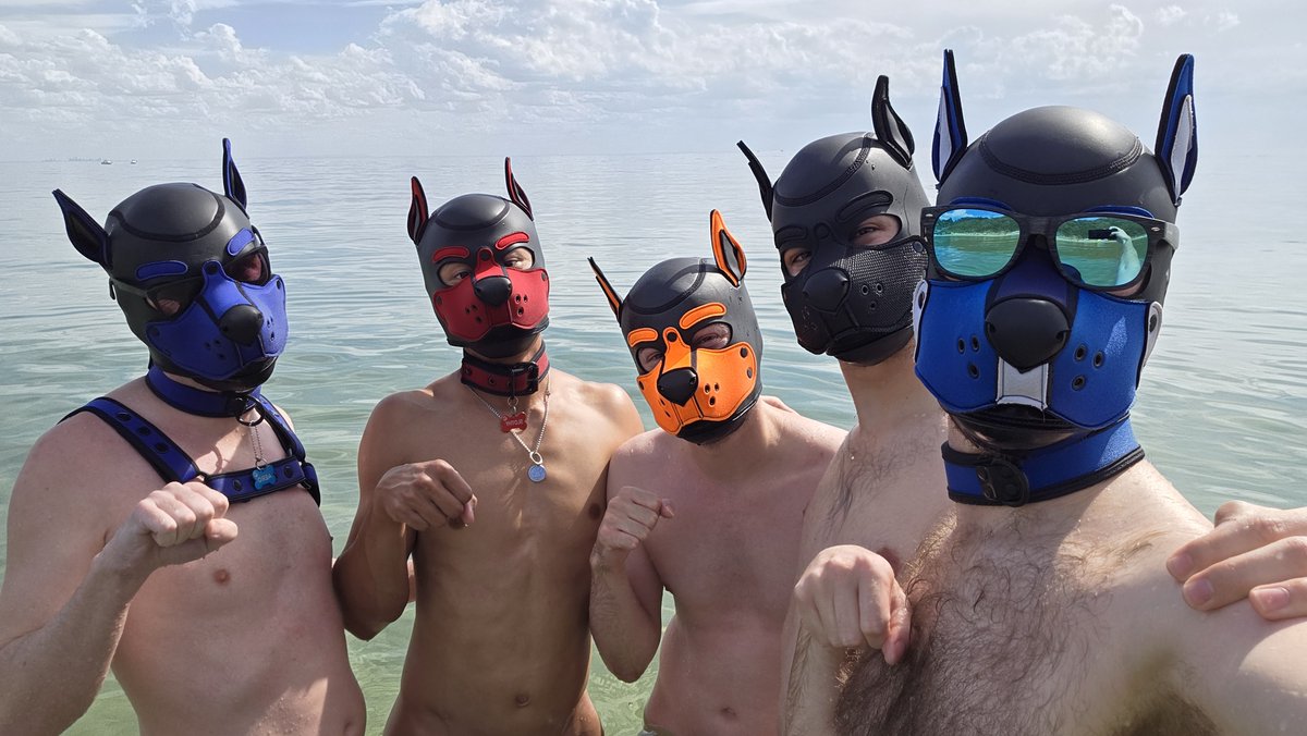 Blurbbub's tweet image. Was a lovely day at Sunnyside beach with my family 🐶🐶🐶🐶🐶
💙@AeroSpacePup (📸⬅️)
🧡@neo_arf
🖤 @oreo.gay (bsky)
💙 @ZeebCock (📸➡️)