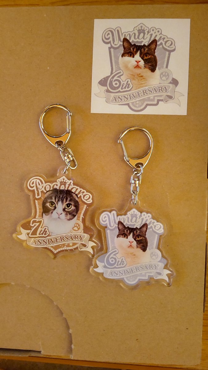 スコスコぽこ太郎&うま次郎 (@PocoUma) / Posts / X