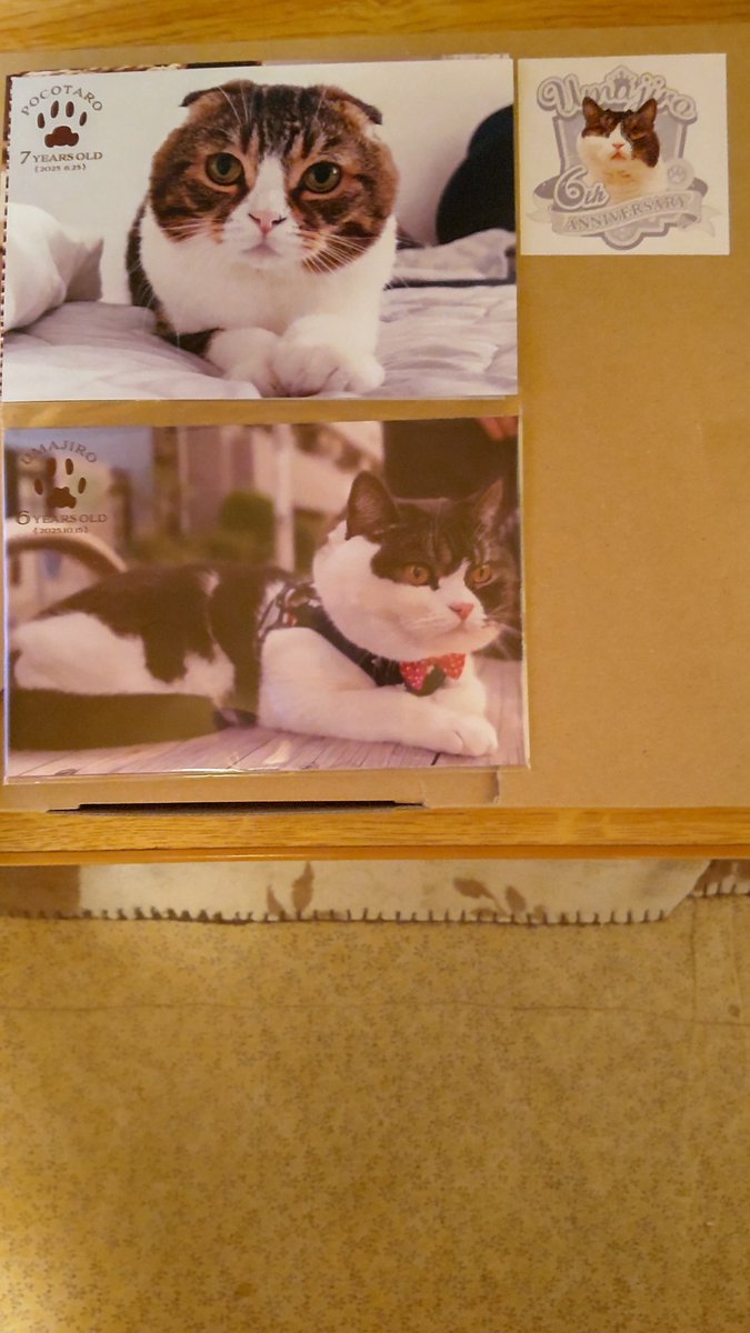 スコスコぽこ太郎&うま次郎 (@PocoUma) / Posts / X