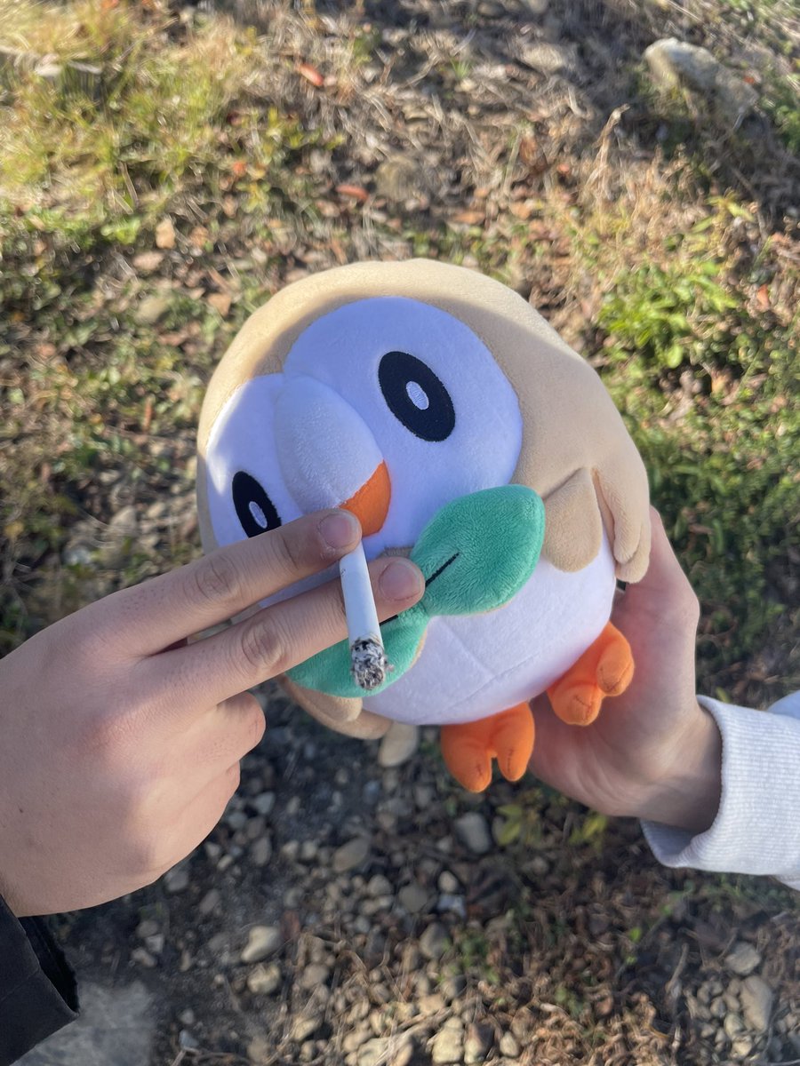 モクロー (@Shinshu_Mokuro) / Posts / X