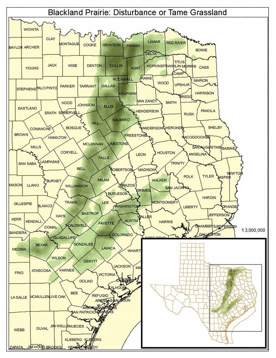 The Blackland Prairie here in Texas covers roughly 18,750 square miles, or 12 million acres.  It’s a surprisingly narrow but very consequential slice of Texas, once among the most fertile grasslands in North America, and now one of the most heavily altered by farming and urban