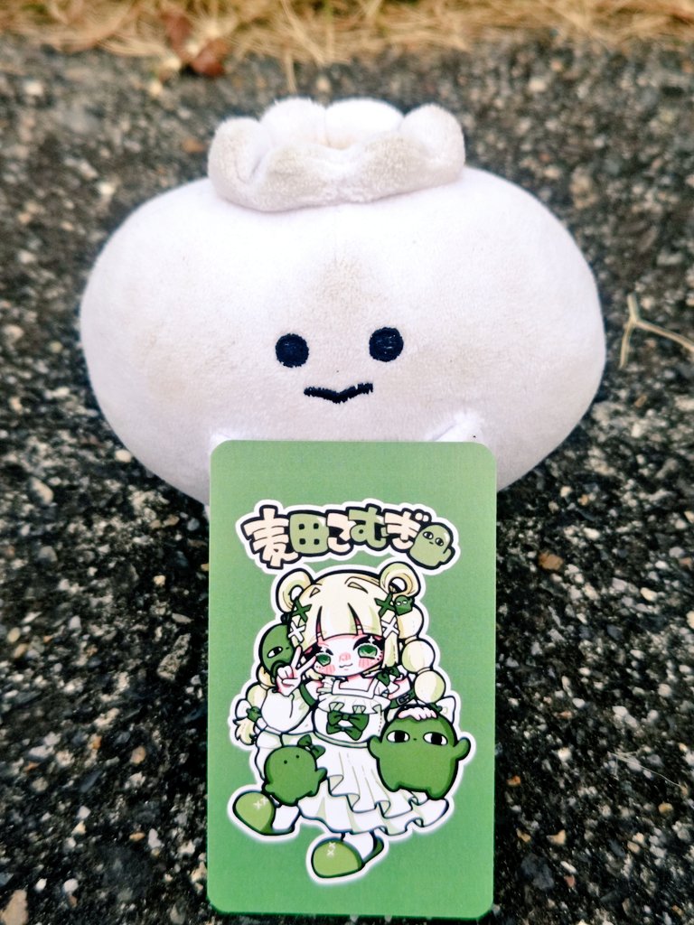 🌵麦田こむぎ🌵依頼⭕️クリマ両日M667 (@_mugipopo_) / Posts / X