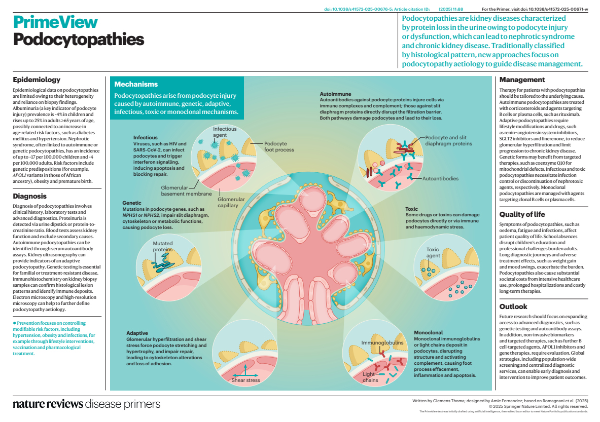 Podocytopathies