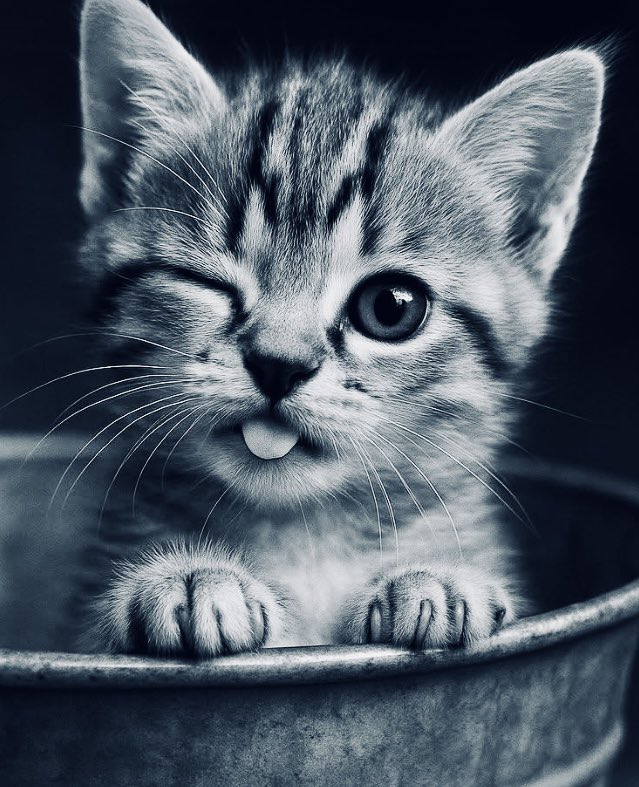 🕊💙

Bitti dediğin anda başlar ömrünün geri kalan kısmı..

________Sen yeter ki,

Bitenlerin değil, başlayanların 
 ________kıymetini bil. 🤗