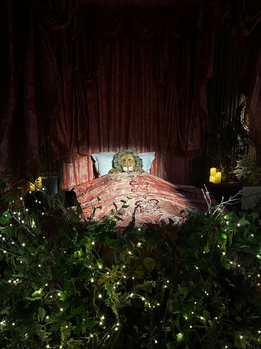 Sicilianomatt95's tweet photo. As Friends of Dorothy we loved the #CastleHoward Christmas illuminations (Wizard of Oz theme) last night. Magnifico 💚 @CastleHowardEst https://t.co/mhdqN8N7aR