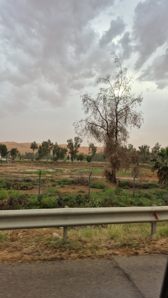 ثقتك بنفسك 
بحرك اللجي
وسماوات سعدك الساطعة
لا تهزم نفسك بترددك
أقدم 
أكمل مسيرتك
لا تلتفت للخسائر
مادمت لم تفقد نفسك
فقصتك لم تنتهِ بعد
قلمك فجرك
لا تغمده
#صباح_الخير