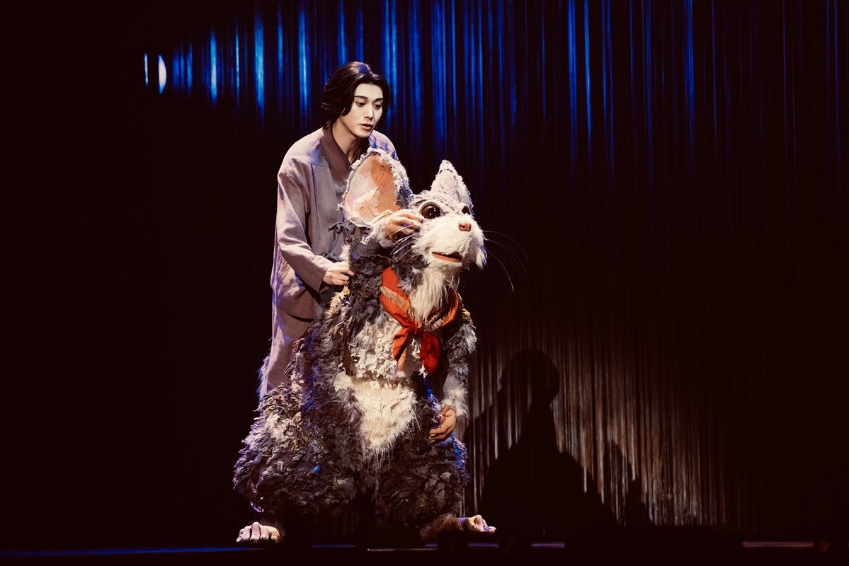 Post by 山田ねこ on X: 可愛すぎる