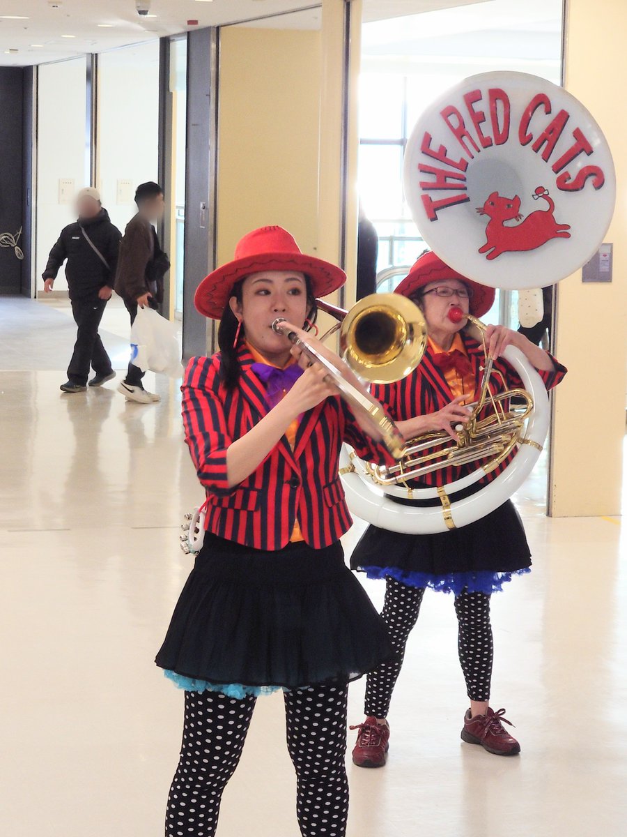 やんまぁ　（やまぐち_すすむ） tweet media