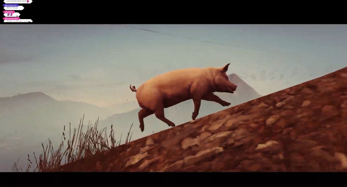 gavisbettel's tweet photo. Maximum cinema on VTRP today... 🐖 https://t.co/Vhyp8VklHG