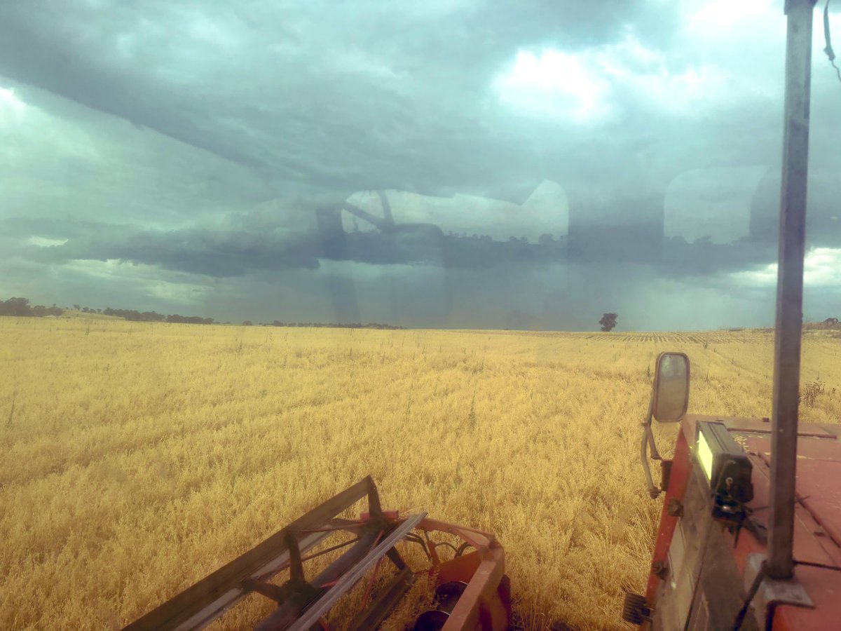 Lawrence Balcomb tweet media