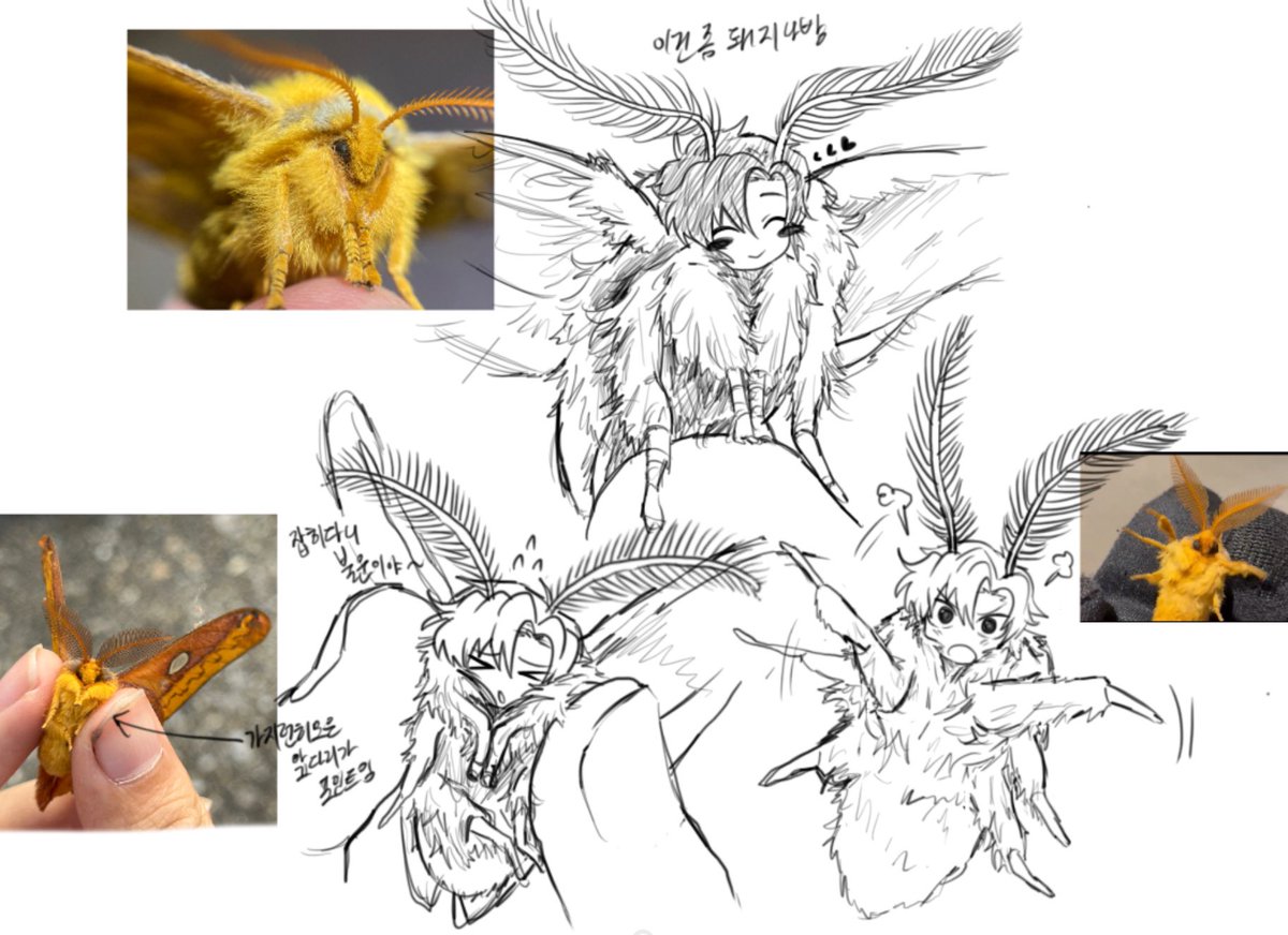 최기정 백업계 tweet media