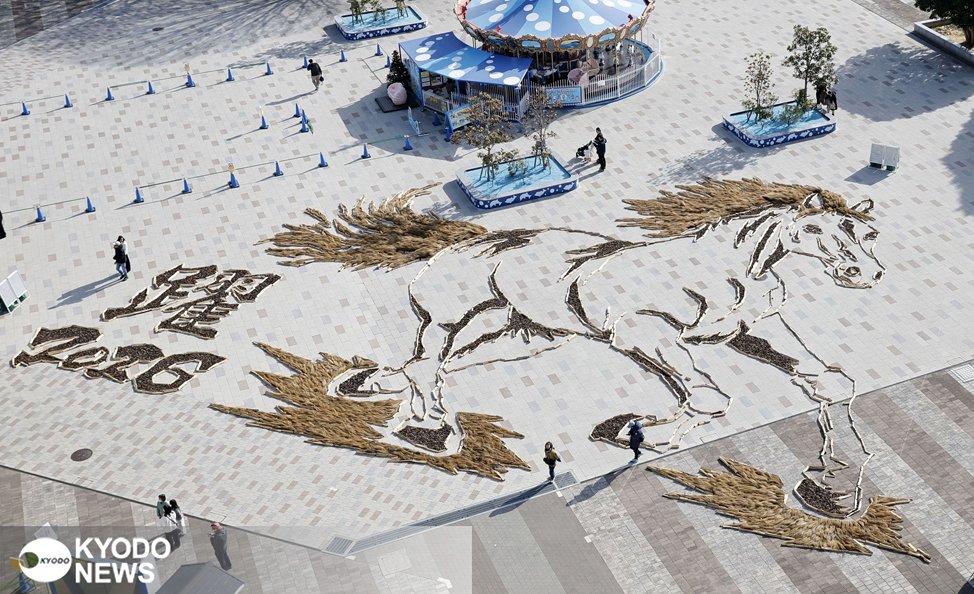 茨城県ひたちなか市の国営ひたち海浜公園が、紅葉後のコキアや