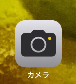 え？逆じゃないの？って思ったけど今のカメラアイコンそれなんだ 確か