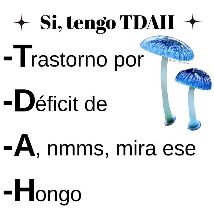 ͏ ͏ ͏ ͏ ͏ (@hyphnoti) on Twitter photo 