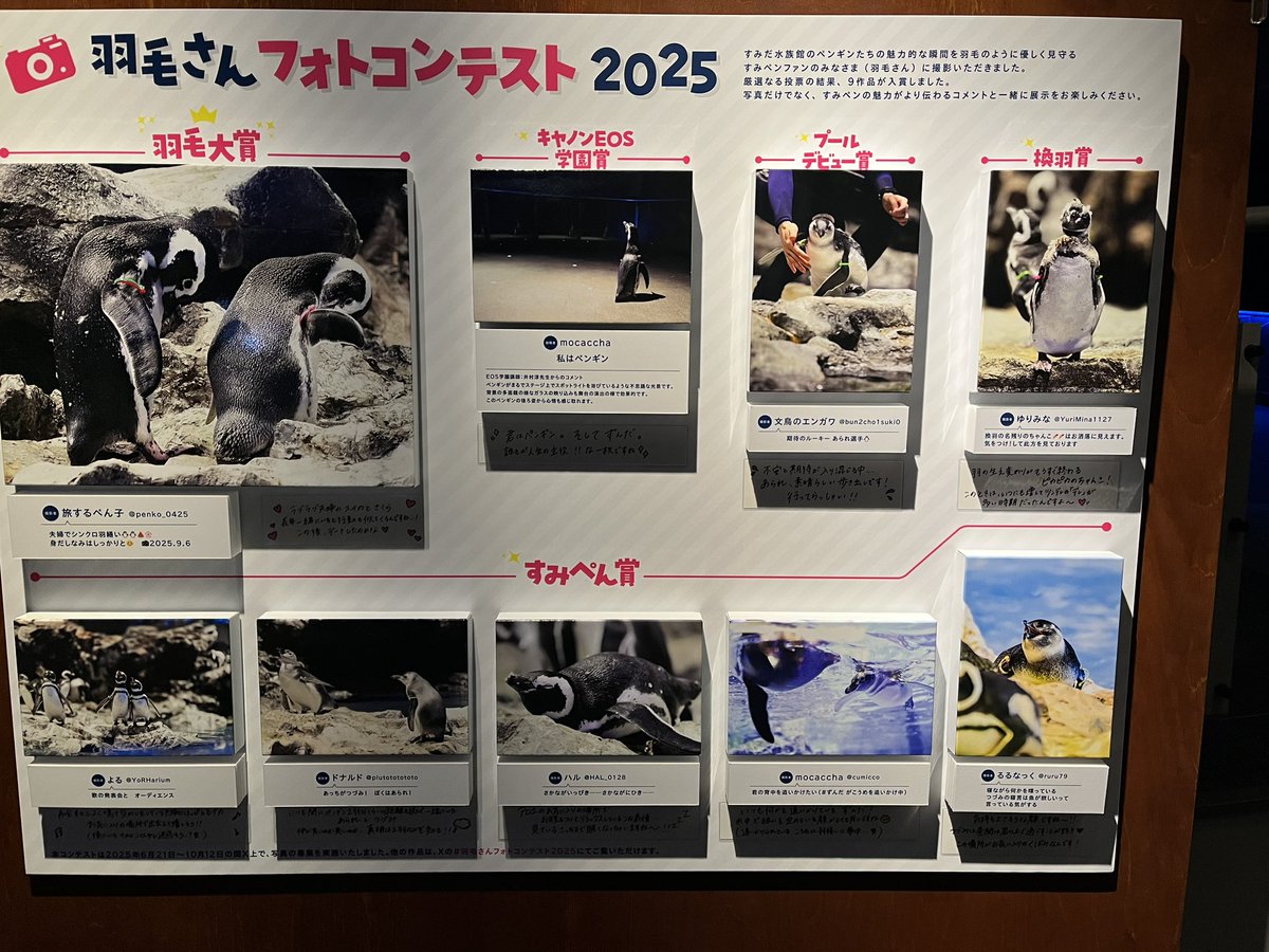 すみだ水族館【公式】 (@Sumida_Aquarium) / Posts / X