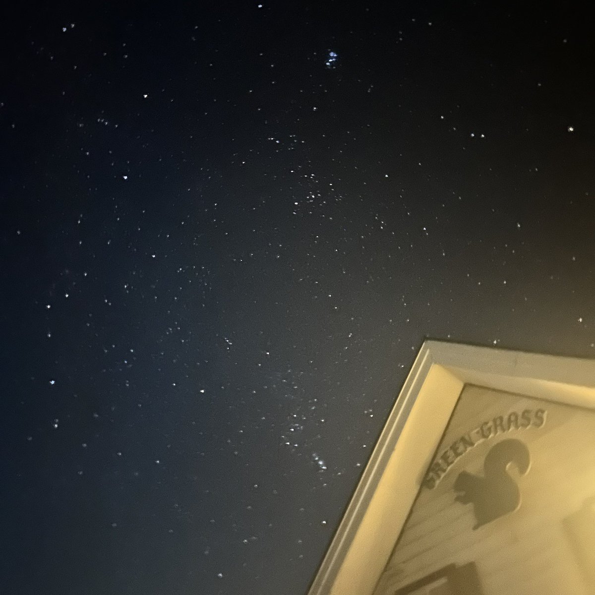 ｻｽｹ tweet media