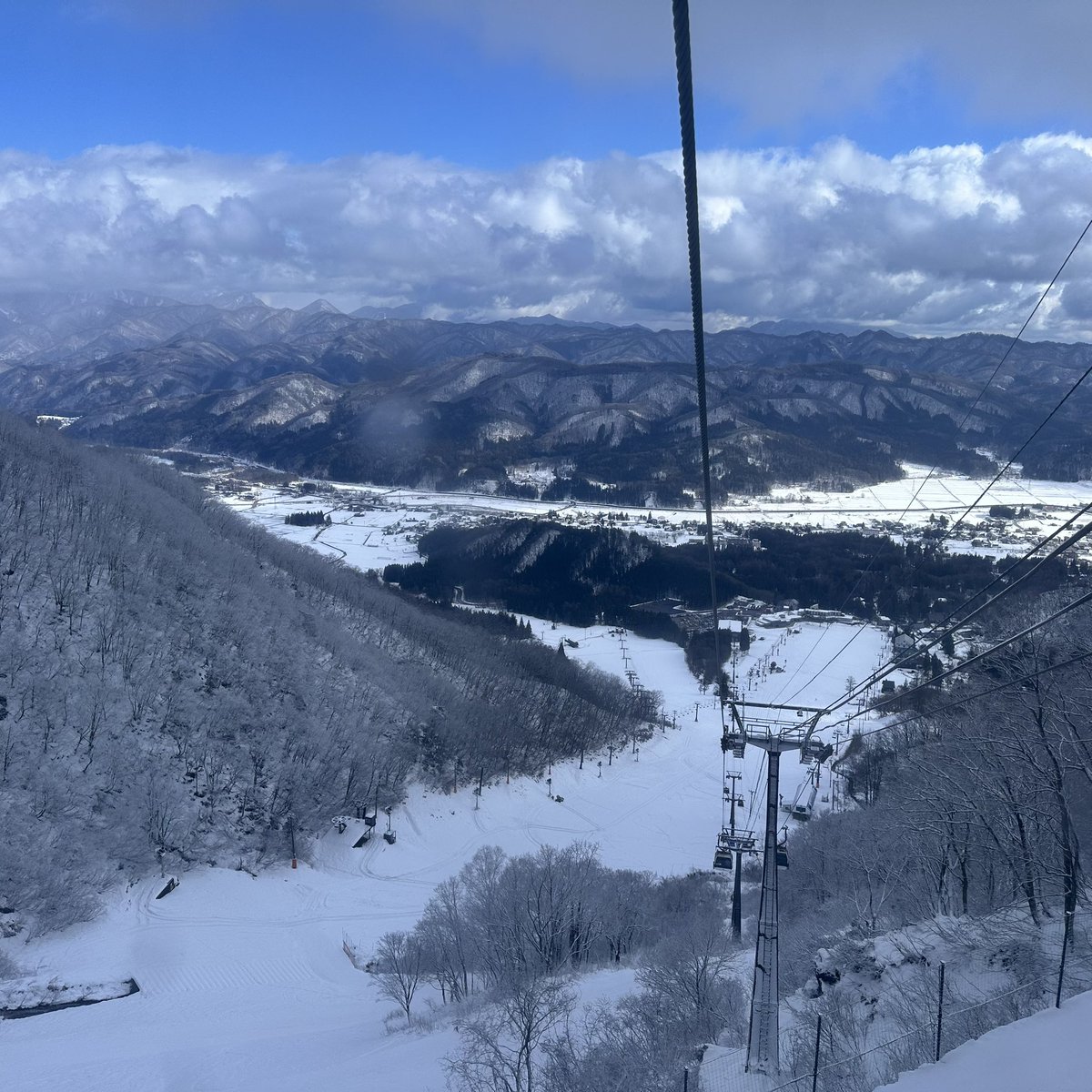 ｻｽｹ tweet media