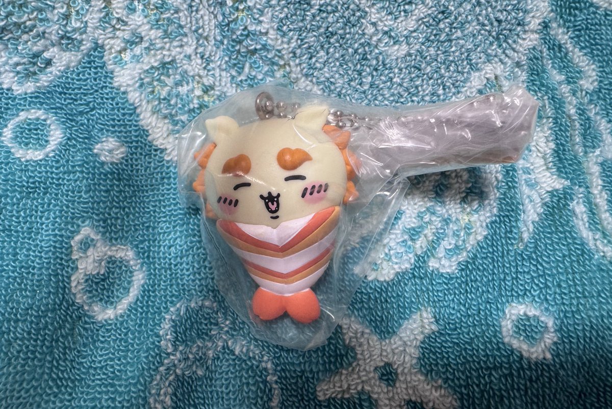 わんこさん tweet media