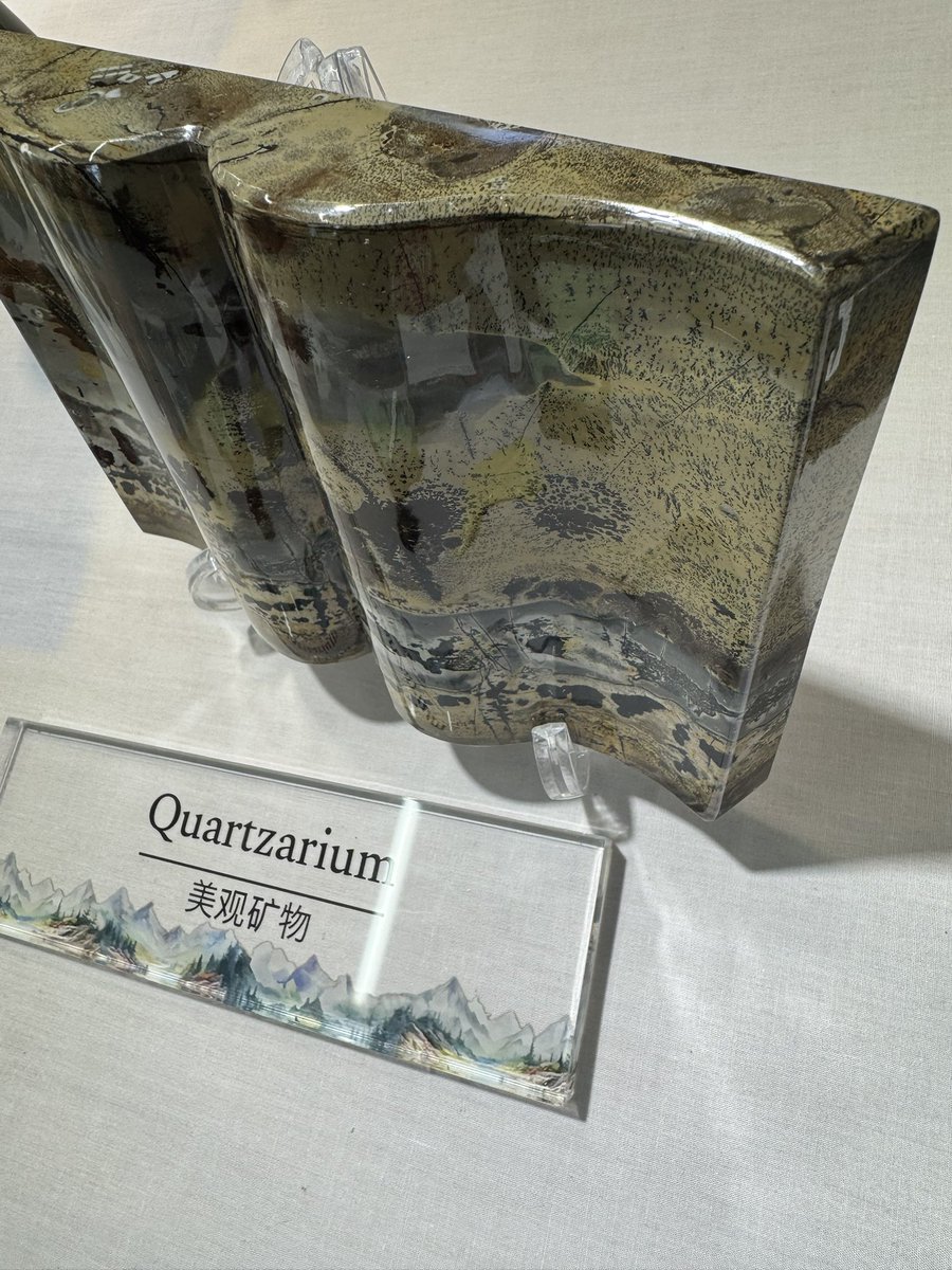 めちゃくちゃ久しぶりにつぶやきます ピクチャージャスパーBook📖自然