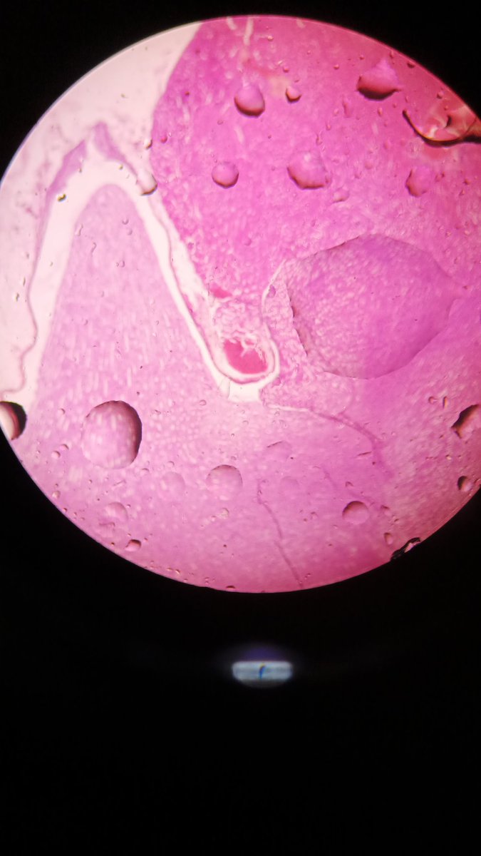 helloechn_'s tweet image. Hidup kalau gak di tilas, ya di ITB