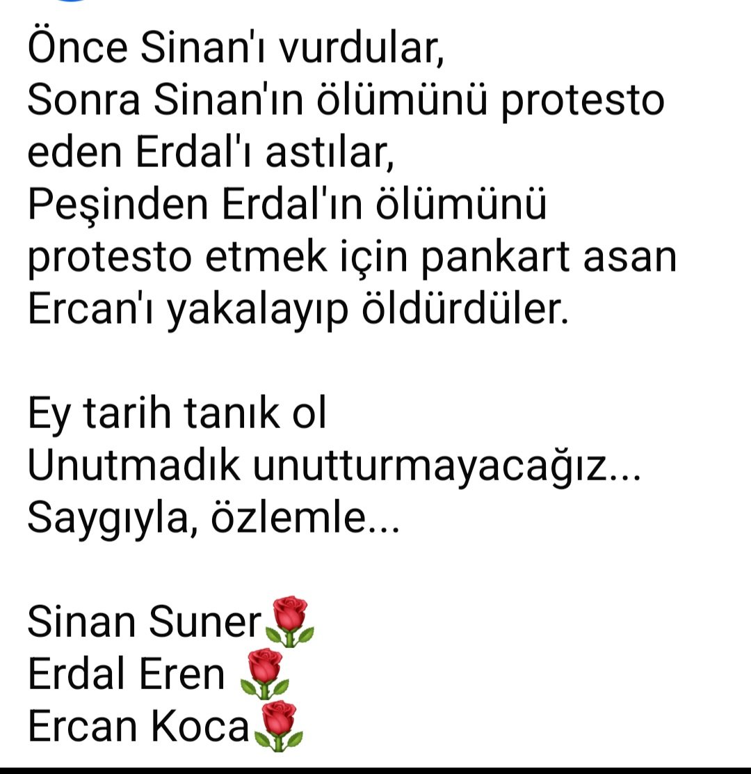 GÜLAY AVŞAR (@glyavs) on Twitter photo 