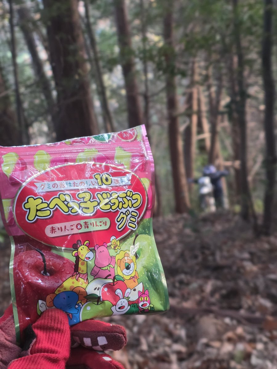 えび (@ebi_bike) / Posts / X