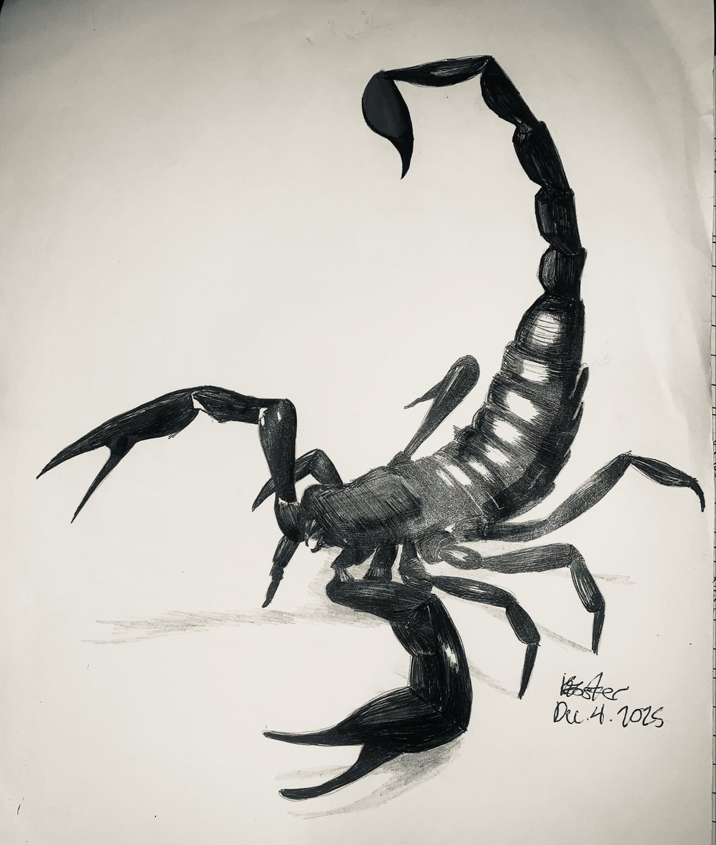DiamondDArt19's tweet photo. Some people are scorpions 🦂. They carry the stinger full of venom (hate) and inject it into their next victim… #scorpion #venom #backstabber https://t.co/ctIJk5UDAA