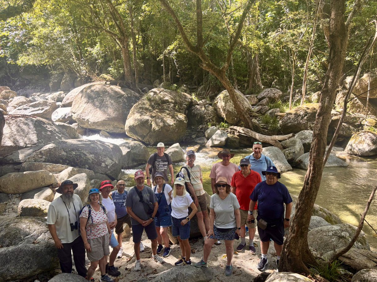 Not Out Travel tweet media