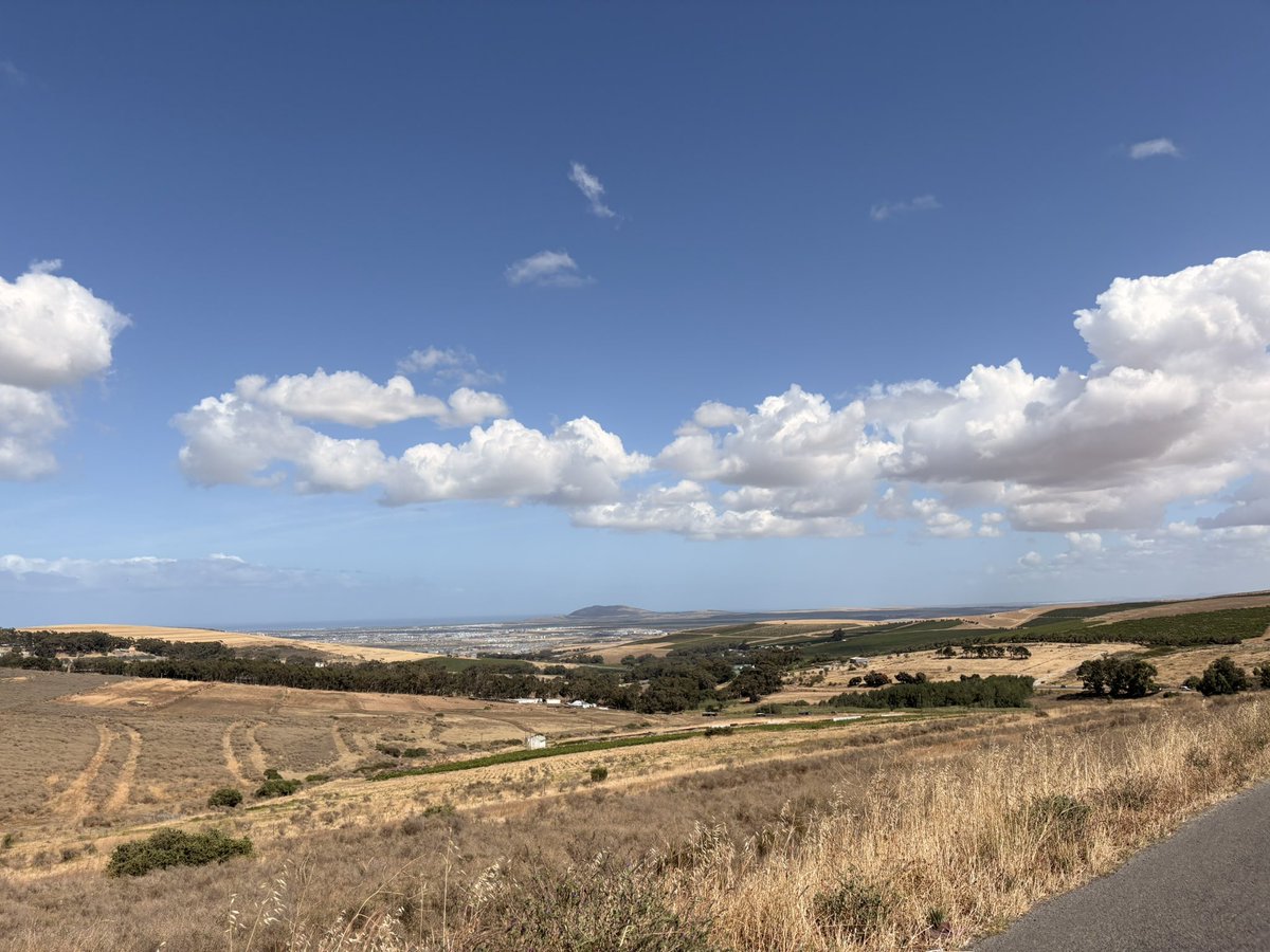 Frieda Lloyd tweet media